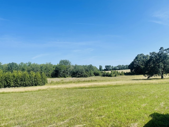 view of yard with a rural view