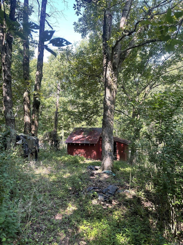 view of yard featuring an outbuilding