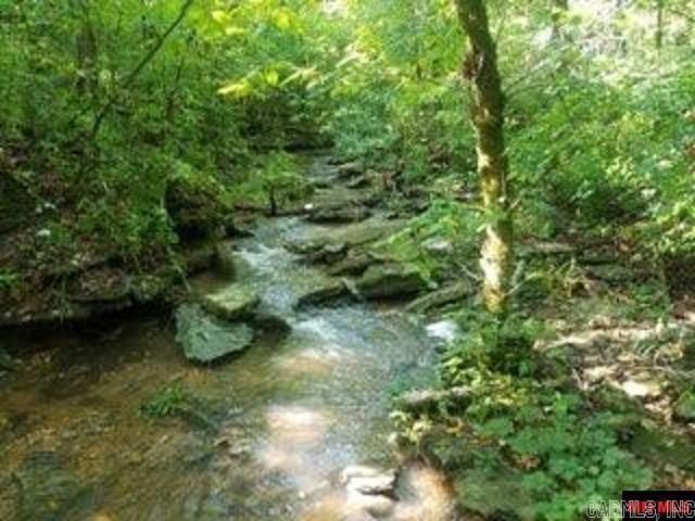 1826 Mc 5013, Everton, AR 72633 - view of local wilderness featuring a forest view
