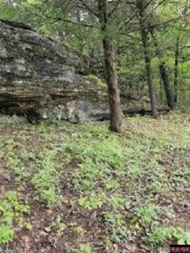 1826 Mc 5013, Everton, AR 72633 - view of local wilderness