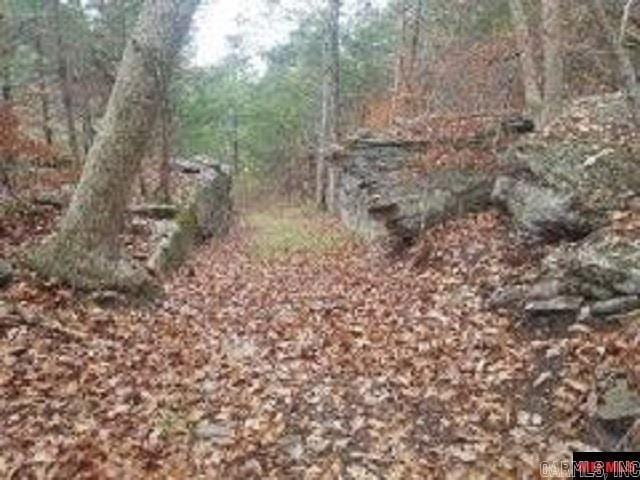 1826 Mc 5013, Everton, AR 72633 - view of local wilderness with a wooded view