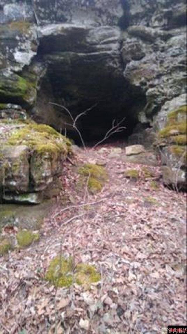 1826 Mc 5013, Everton, AR 72633 - view of details