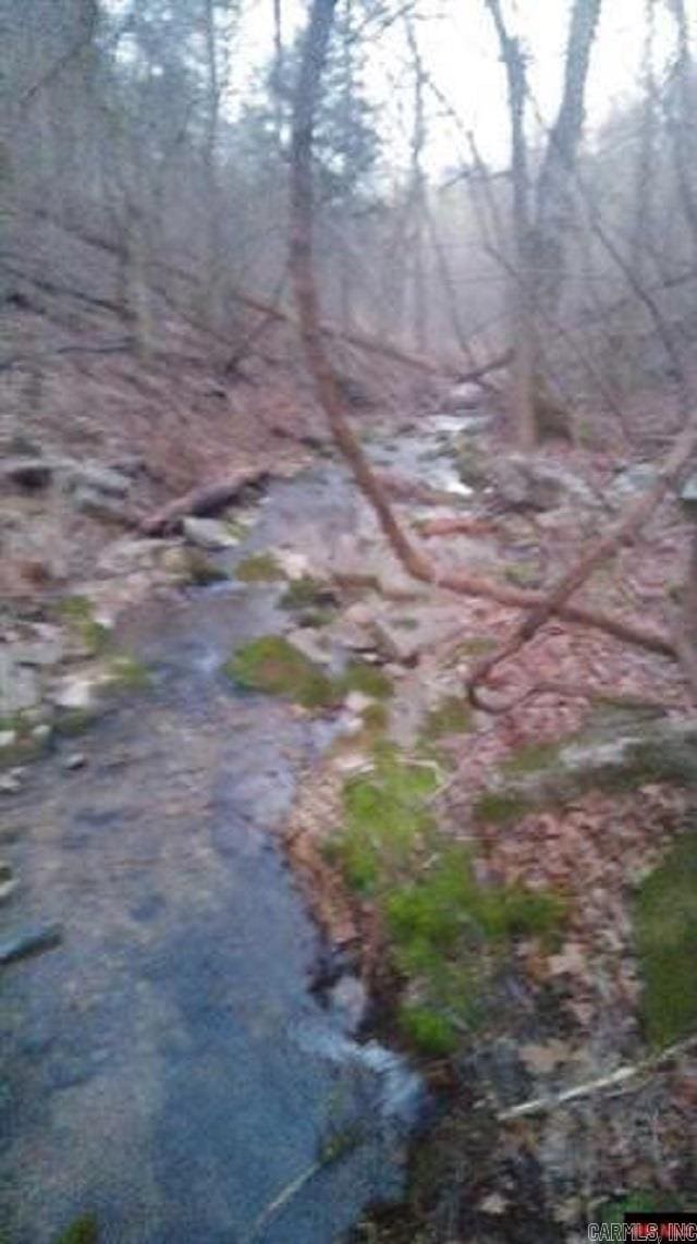 1826 Mc 5013, Everton, AR 72633 - view of local wilderness