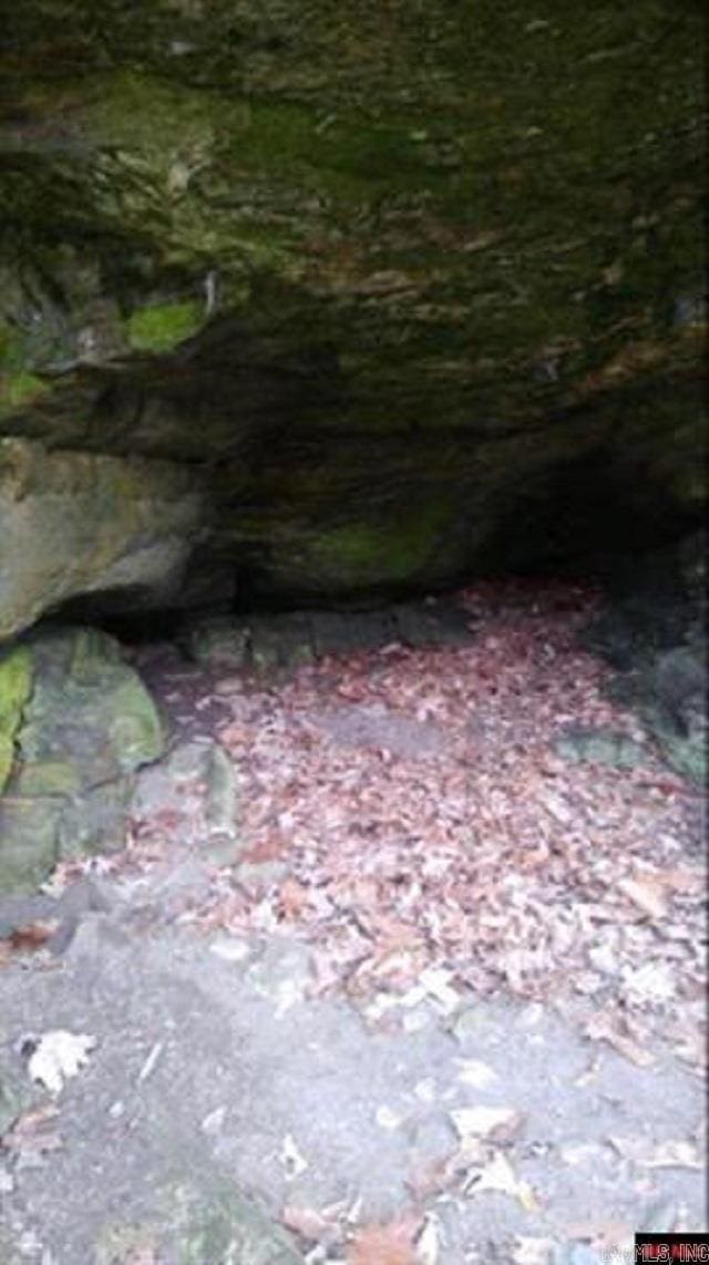 1826 Mc 5013, Everton, AR 72633 - view of details
