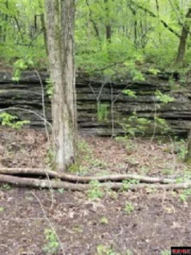 1826 Mc 5013, Everton, AR 72633 - view of local wilderness
