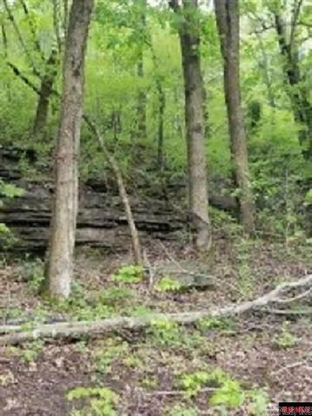 1826 Mc 5013, Everton, AR 72633 - view of local wilderness