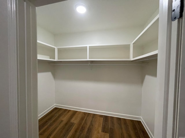 walk in closet featuring dark wood-type flooring