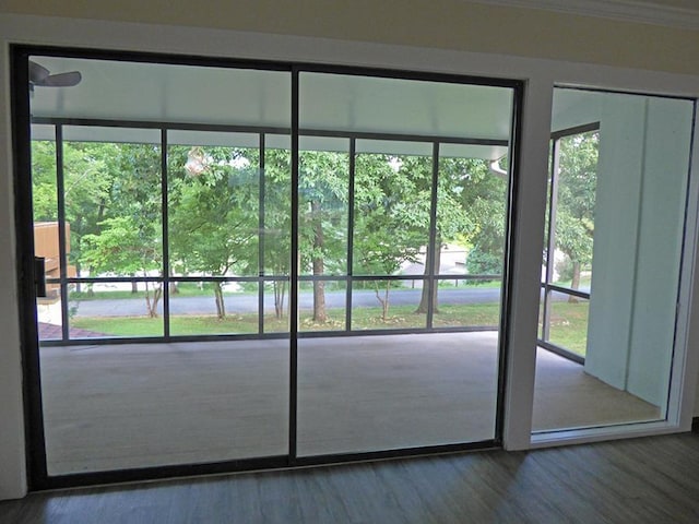 doorway with wood finished floors