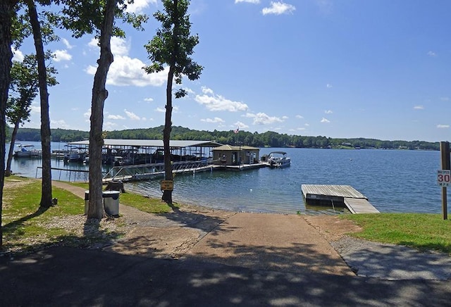 dock area with a water view