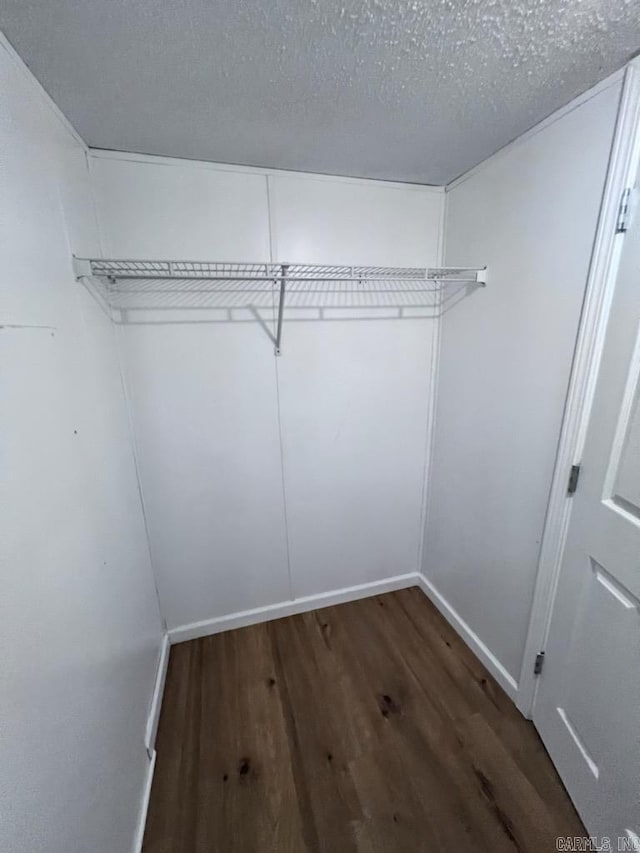 walk in closet with dark hardwood / wood-style flooring