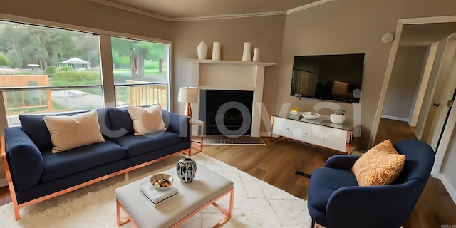 living room featuring crown molding, plenty of natural light, and hardwood / wood-style floors