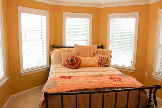 carpeted bedroom with multiple windows and crown molding