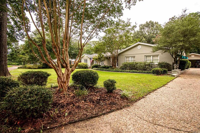 view of front of home featuring a front yard