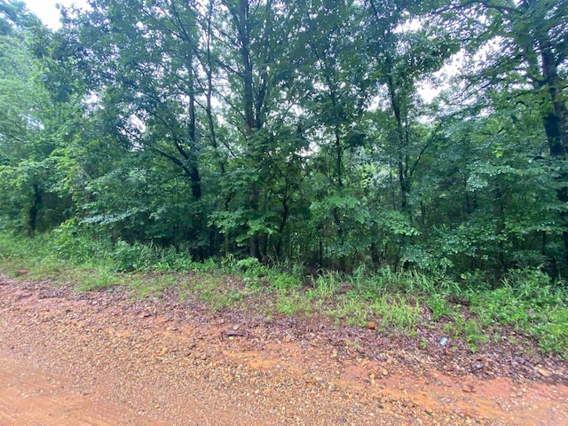 TBD Bluegrass Rd, Nashville AR, 71852 land for sale