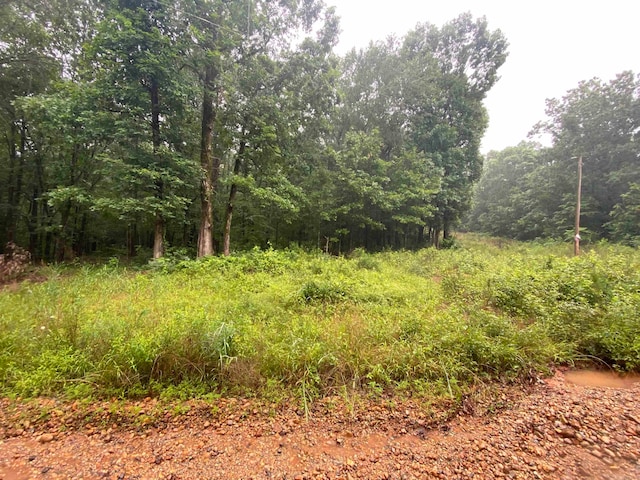 Listing photo 3 for TBD Bluegrass Rd, Nashville AR 71852