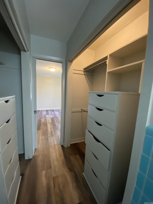 spacious closet with dark wood-style floors