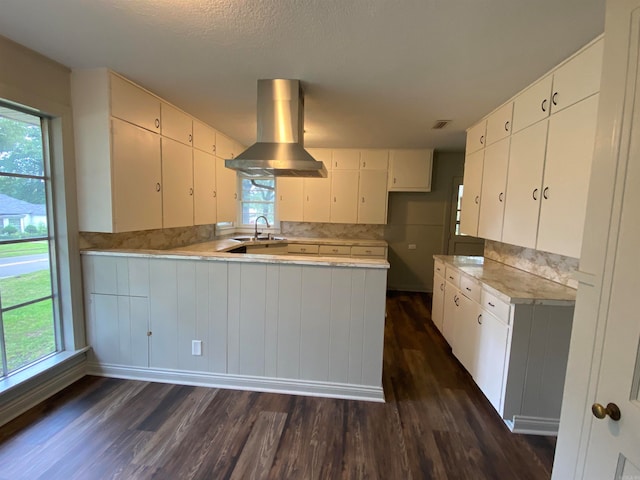 kitchen with dark hardwood / wood-style flooring, island range hood, and a wealth of natural light