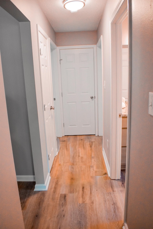 hall with light hardwood / wood-style flooring