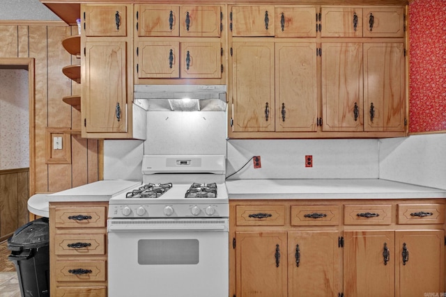 kitchen featuring white range with gas cooktop and tasteful backsplash