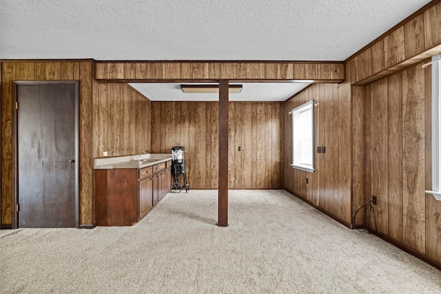 interior space with sink, wood walls, light carpet, and a textured ceiling