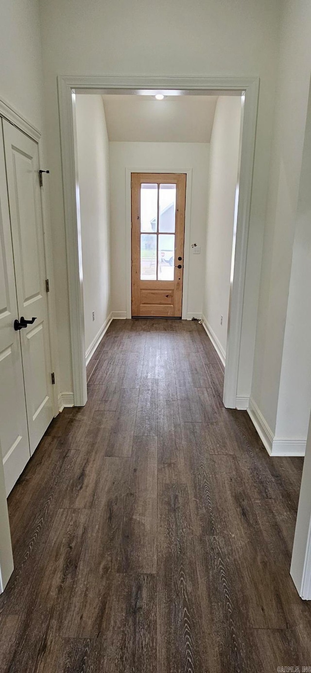 entryway with dark hardwood / wood-style flooring