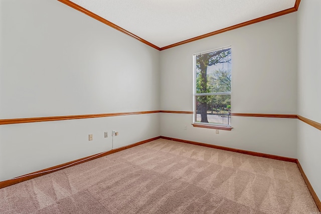 carpeted spare room featuring ornamental molding and a textured ceiling