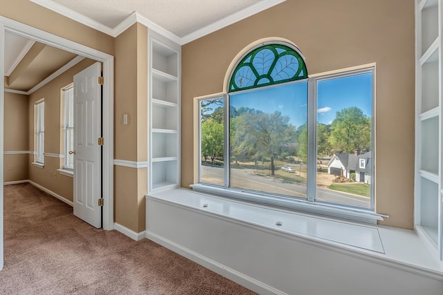 interior space featuring crown molding, built in features, carpet, and a textured ceiling