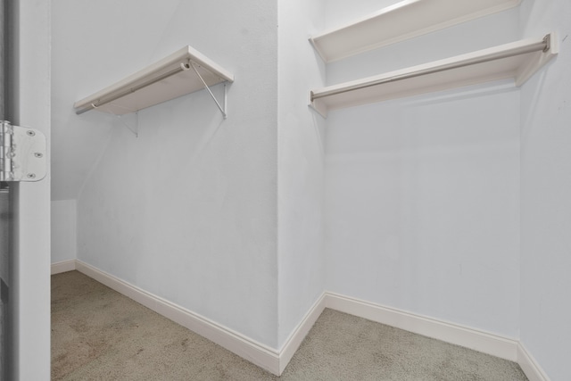 spacious closet featuring light colored carpet