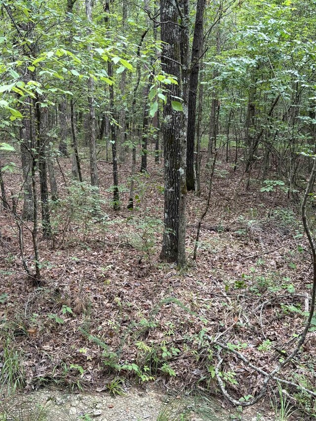 00 Venado Way, Hot Springs Village AR, 71909 land for sale