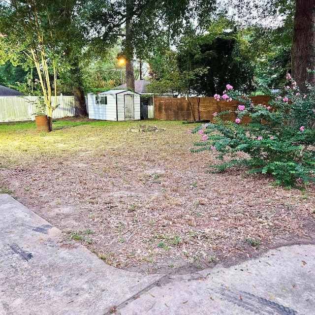 view of yard featuring a storage shed