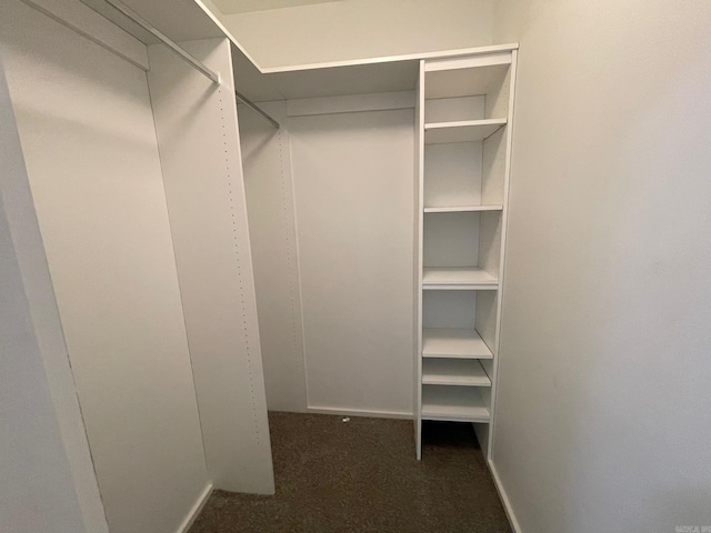 walk in closet featuring dark colored carpet