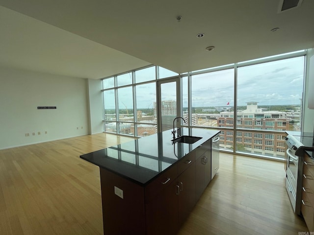 kitchen featuring sink, light hardwood / wood-style flooring, plenty of natural light, and an island with sink