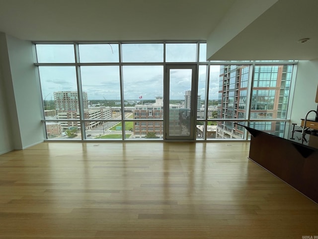 empty room with sink, a wall of windows, a healthy amount of sunlight, and hardwood / wood-style floors