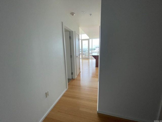 hallway with a wall of windows and light hardwood / wood-style flooring