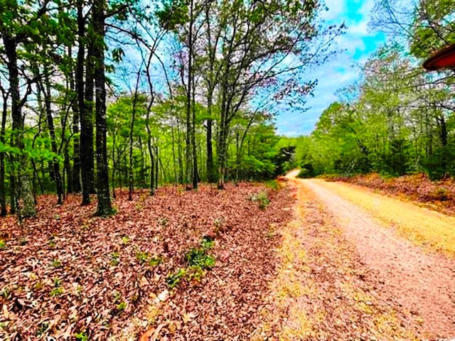 0 Timbercrest Rd, Viola AR, 72583 land for sale