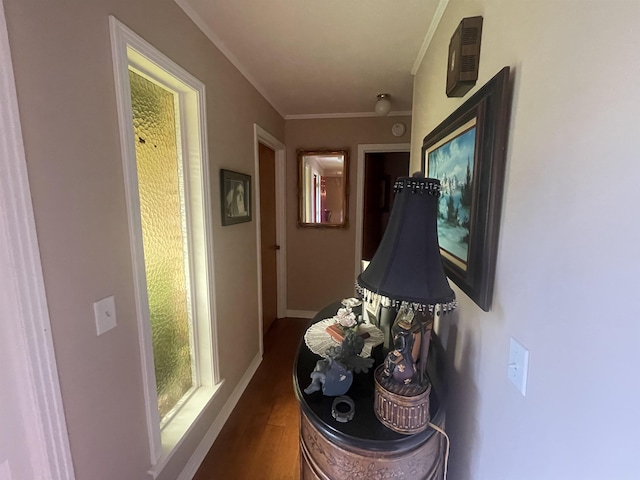 hall featuring ornamental molding and dark hardwood / wood-style floors