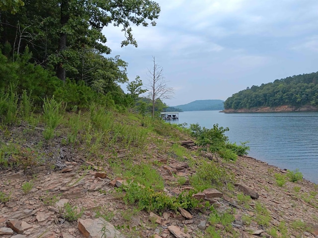 LOT16 Thompson Cove Ln, Shirley AR, 72153 land for sale