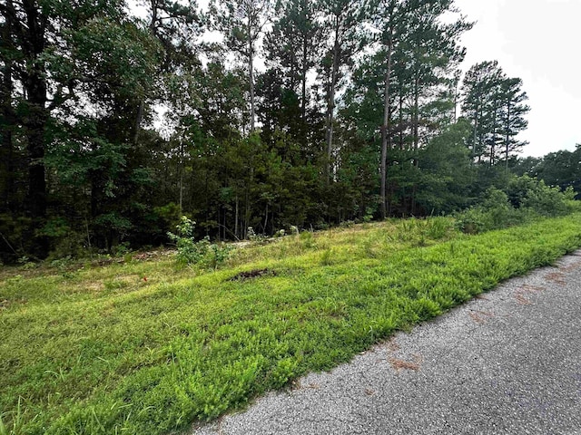 LOT62 Green Creek Trl, Shirley AR, 72153 land for sale