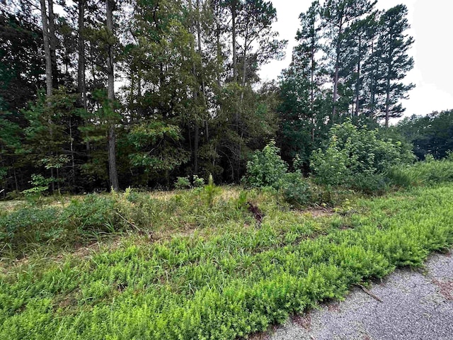 Listing photo 2 for LOT62 Green Creek Trl, Shirley AR 72153