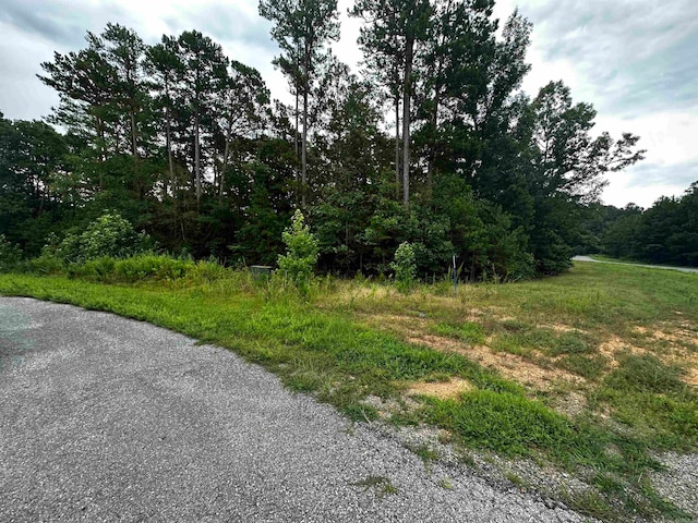 Listing photo 3 for LOT62 Green Creek Trl, Shirley AR 72153