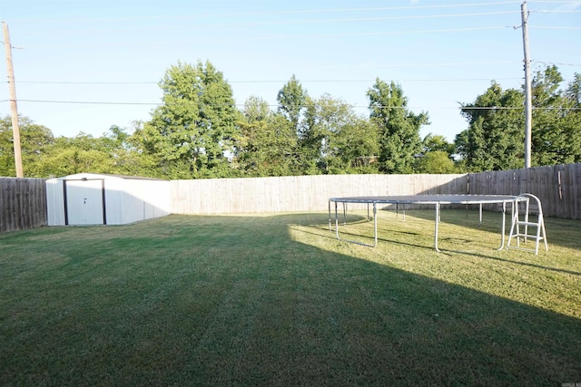 view of yard featuring a storage shed and a trampoline