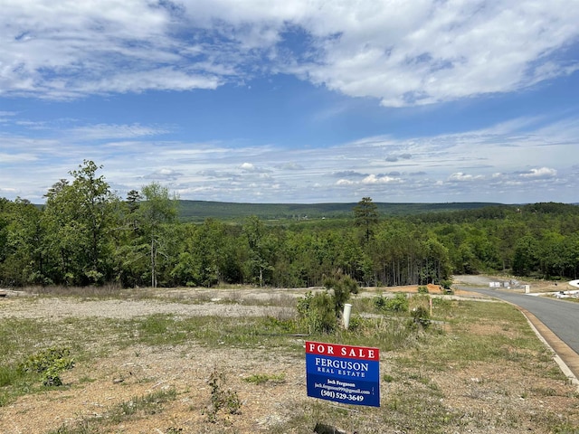 Listing photo 3 for LOT321 Waterview Meadows Ln, Roland AR 72135