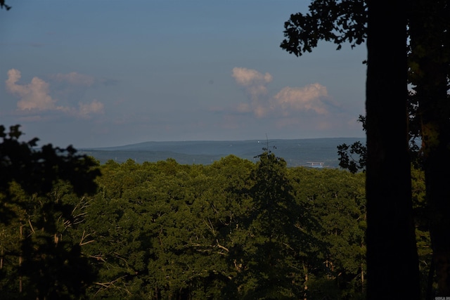 Listing photo 2 for LOT31 Woodlawn, Fairfield Bay AR 72088