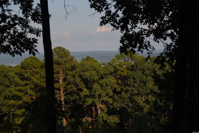 Listing photo 3 for LOT31 Woodlawn, Fairfield Bay AR 72088