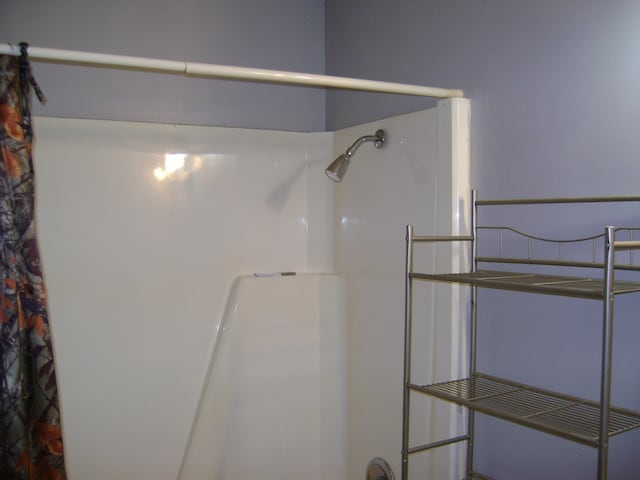 bathroom with a shower