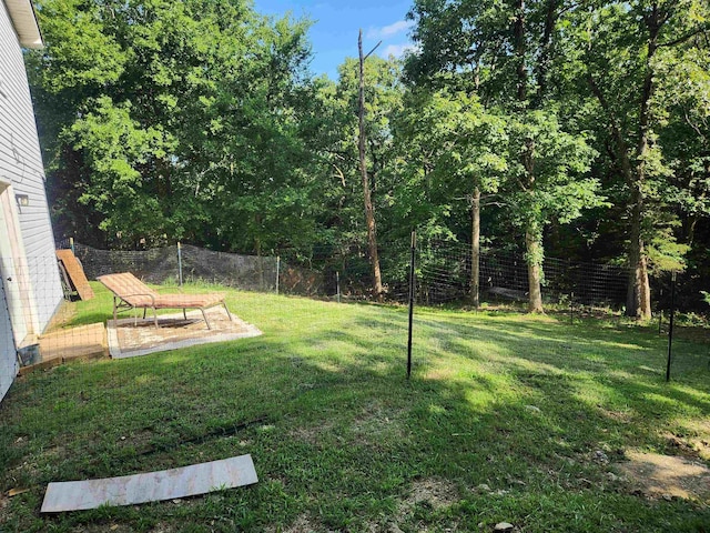 view of yard featuring a patio area