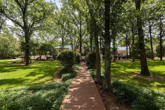 view of community featuring a lawn