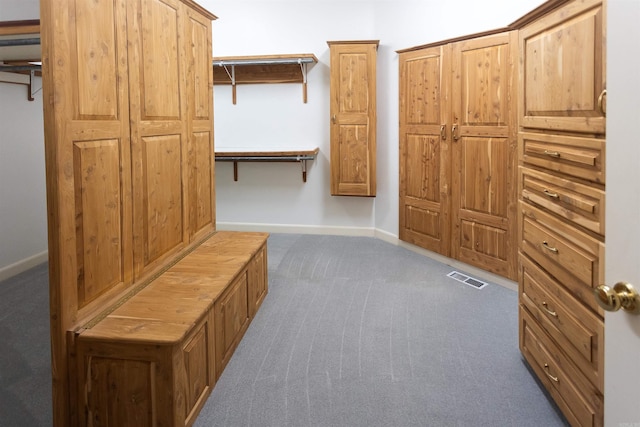 mudroom featuring carpet floors, visible vents, and baseboards