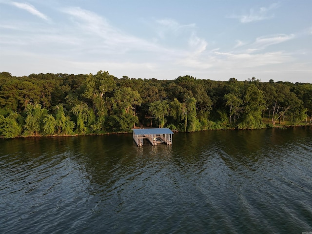 view of water feature with a dock and a view of trees