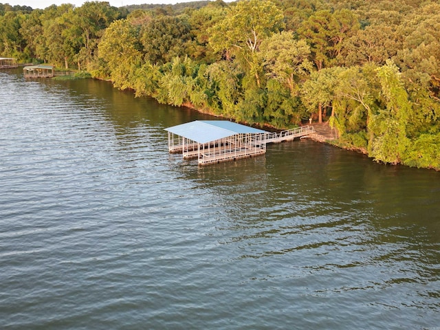 view of dock featuring a water view and a view of trees